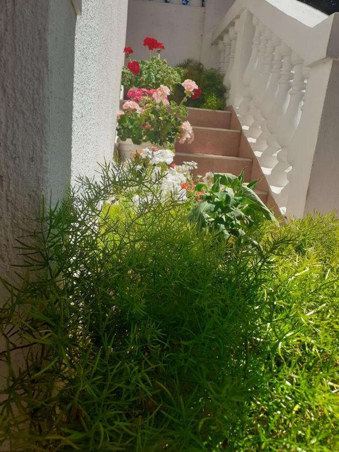 Apartman Sunce Raslina Екстер'єр фото