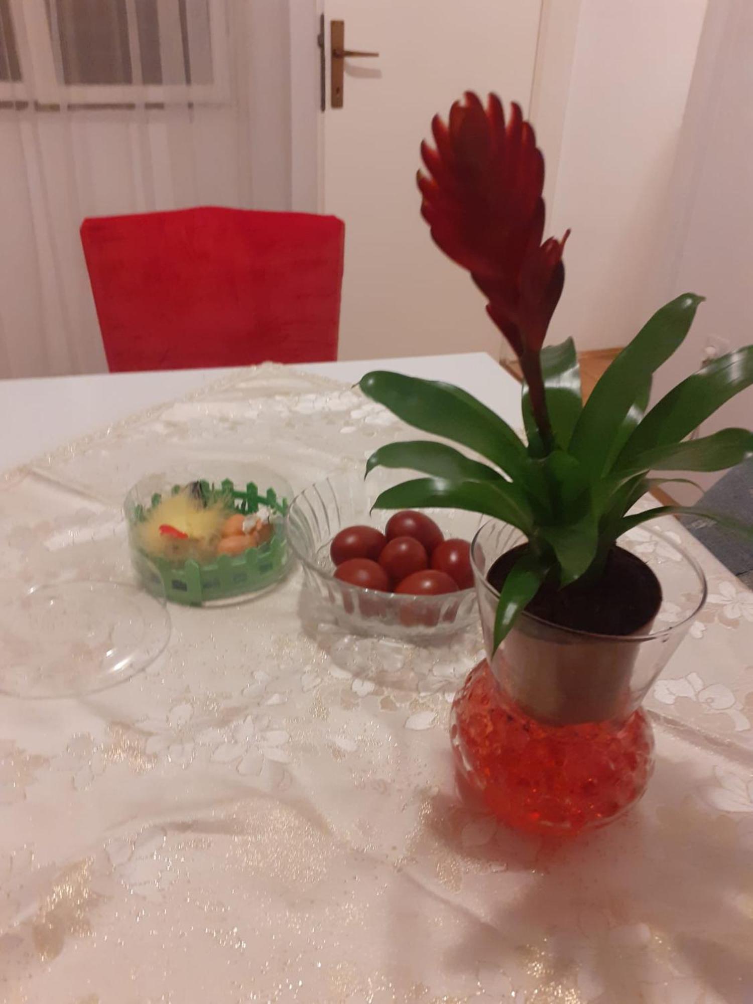 Apartman Sunce Raslina Екстер'єр фото
