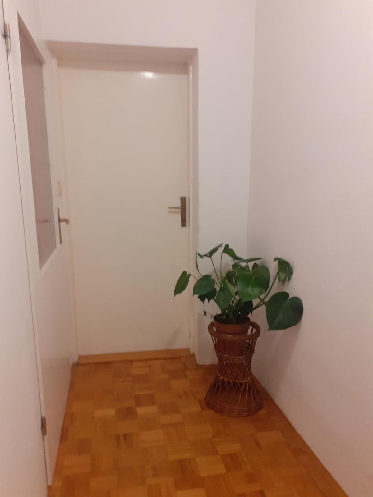 Apartman Sunce Raslina Екстер'єр фото