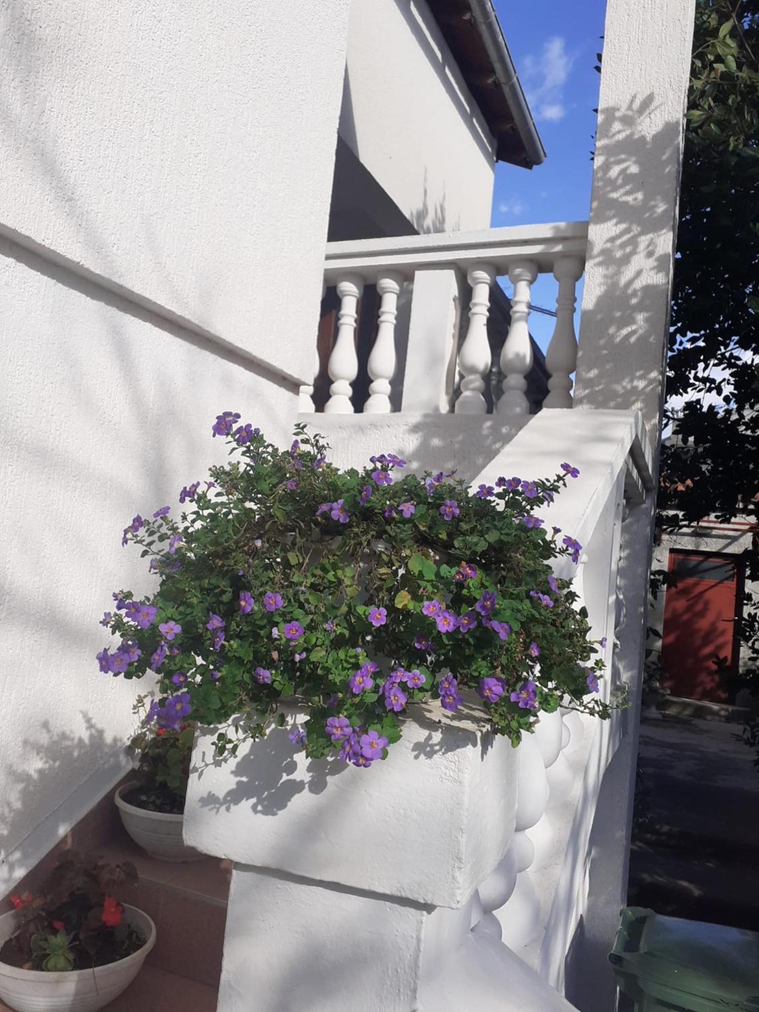Apartman Sunce Raslina Екстер'єр фото